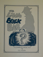 LITTLE BLACK BAG