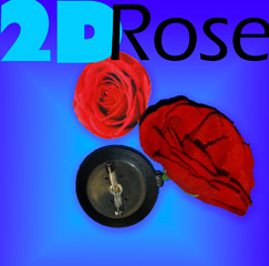 2D ROSE W/REEL